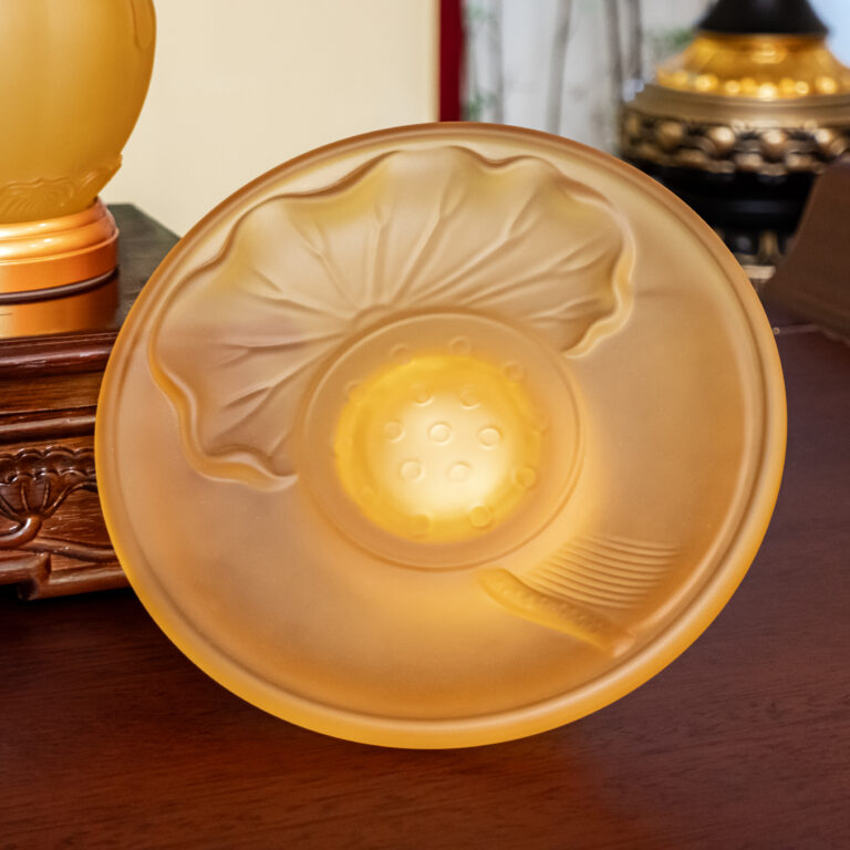 Dscf4790