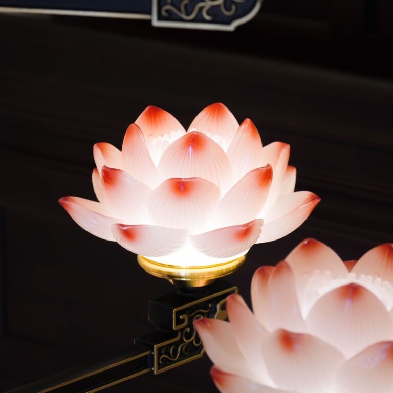 Den Dien Luu Ly 25 Bong (8)