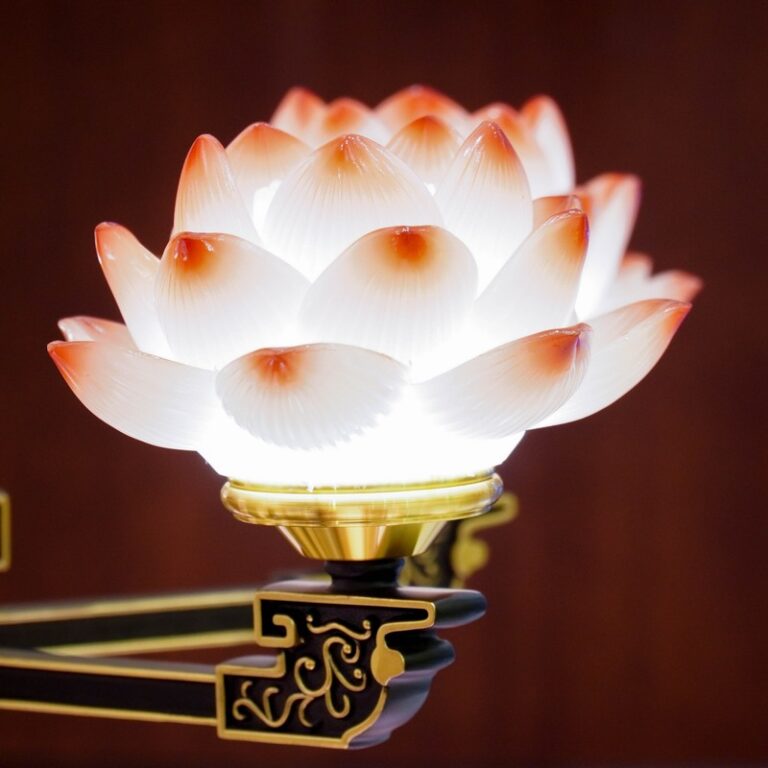 Den Dien Luu Ly 25 Bong (9)