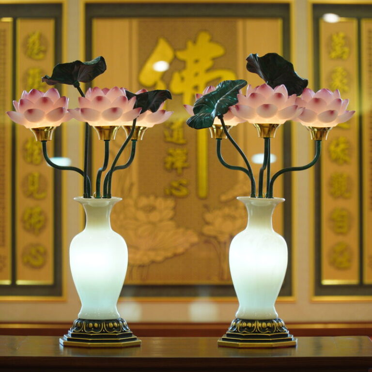 Den Dien Luu Ly Nhieu