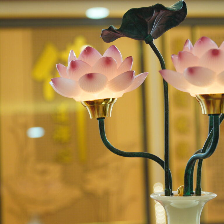 Den Dien Luu Ly Nhieu (11)