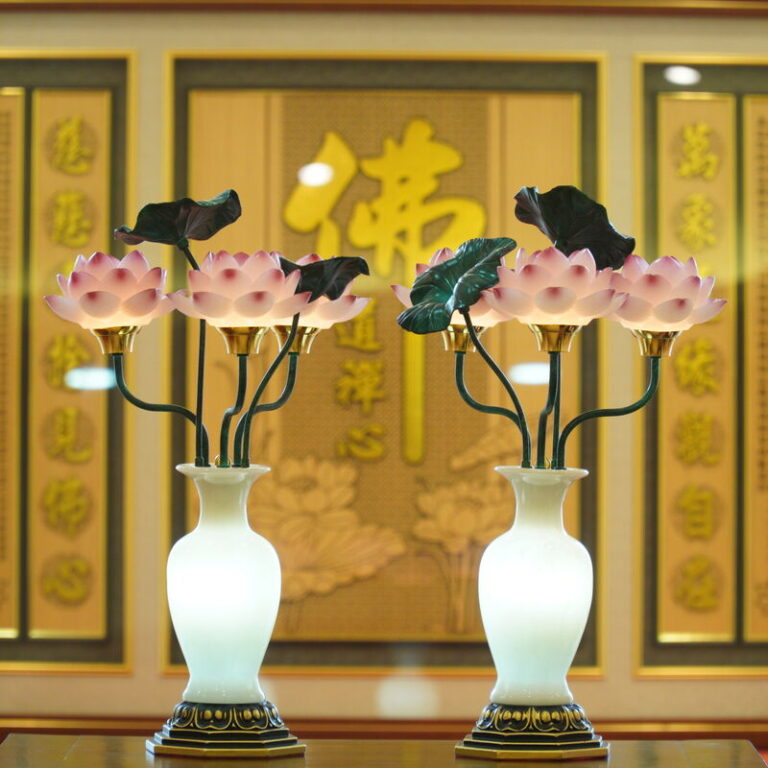 Den Dien Luu Ly Nhieu (2)