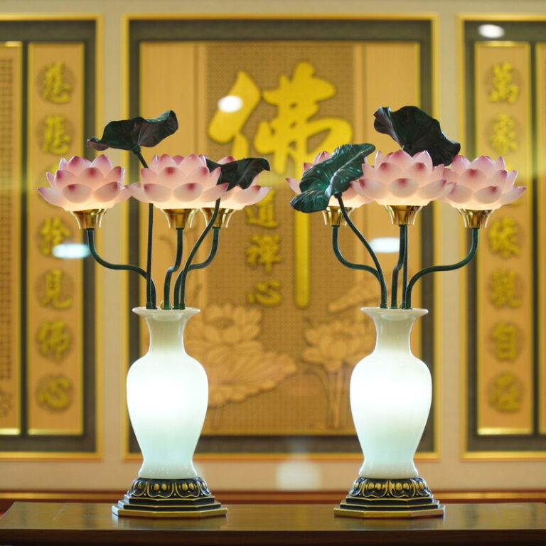 Den Dien Luu Ly Nhieu (7)