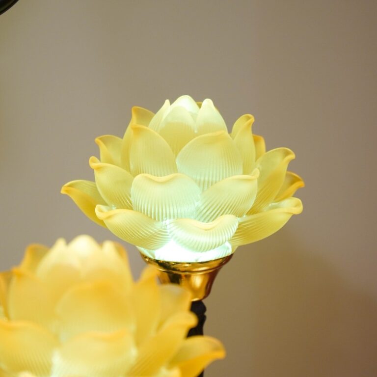 Den Dien Phat Quang 19 Bong (1)