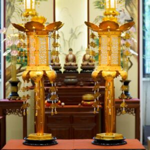 Trang Phan Co Den Led (3)