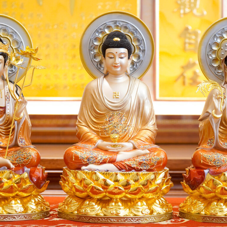 Cac Kich Thuoc Tuong Phat Adida 02