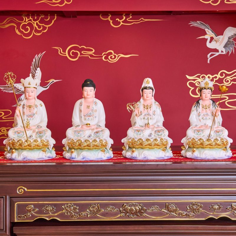 Bao Quan Tuong Phat 5