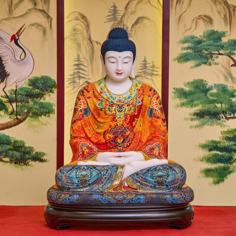 Bao Quan Tuong Phat 8