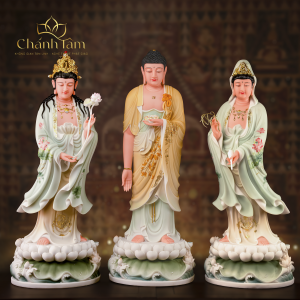 Chính Diện (11)
