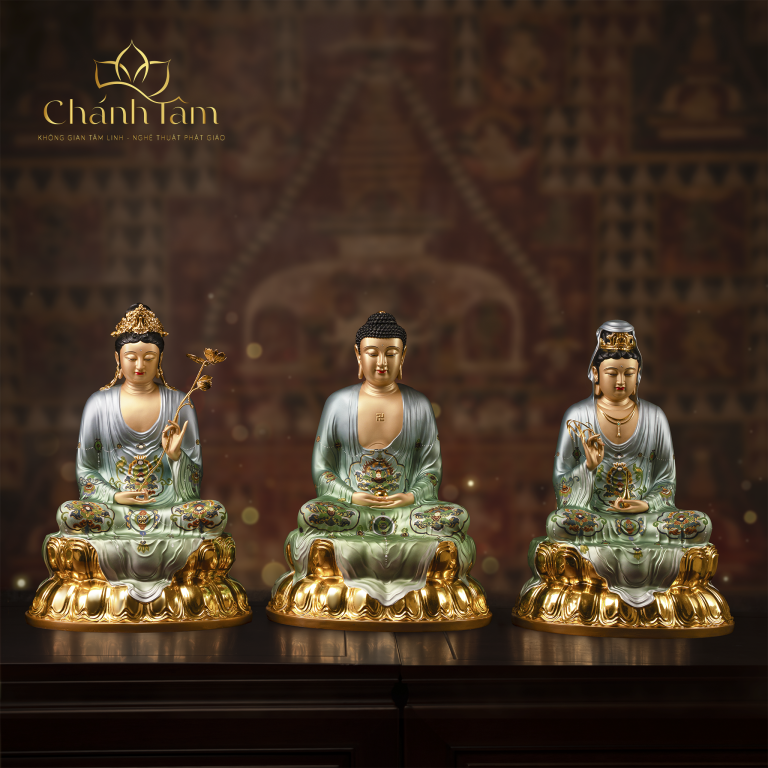Chính Diện (13)