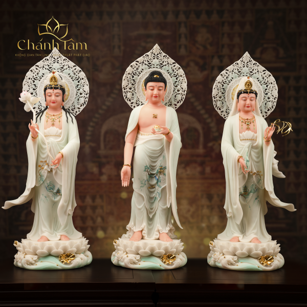 Chính Diện (46)