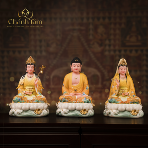 Chính Diện (5)