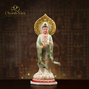 Chính Diện (50)