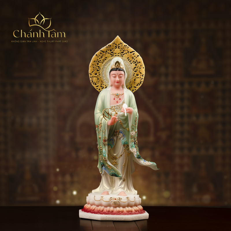 Chính Diện (50)