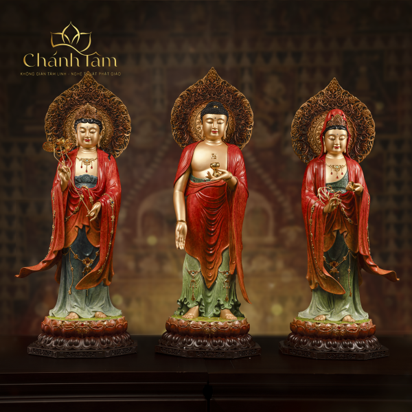 Chính Diện (54)