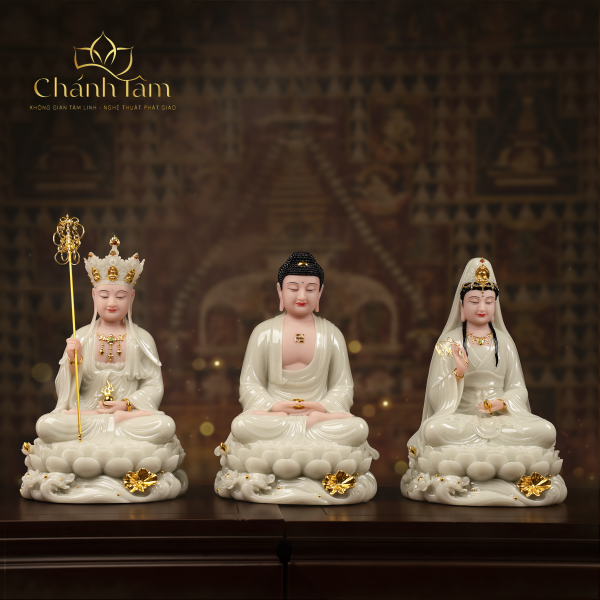 Chính Diện (62)