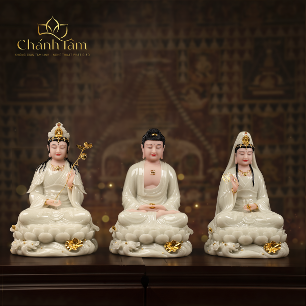 Chính Diện (63)